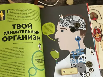 Тело человека. Как работает наш удивительный организм - фото 7