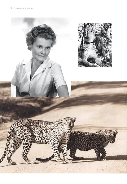 Альманах "Учёные и открытия" - фото 4