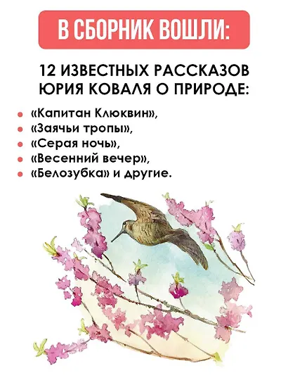 Жеребенок - фото 5