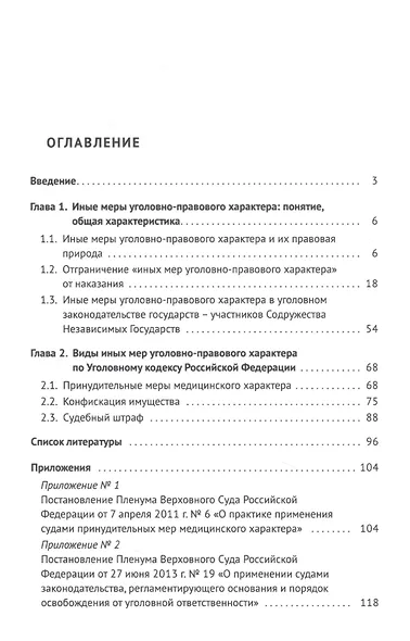 Иные меры уголовно-правового характера: монография - фото 2