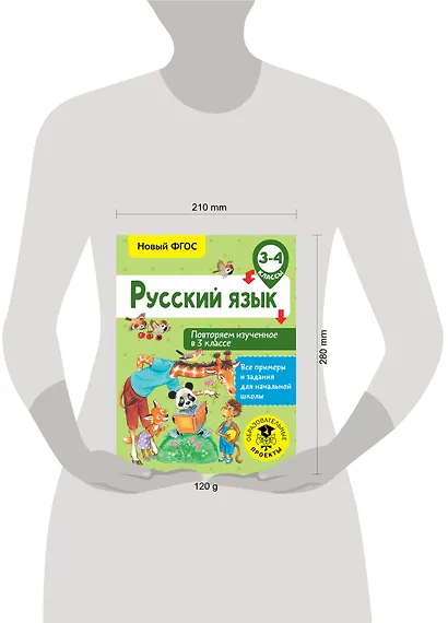 Русский язык. Повторяем изученное в 3 классе. 3-4 класс - фото 3