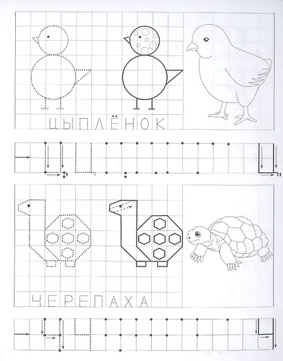 Прописи для левшей. Смышленые буковки по клеточкам - фото 3