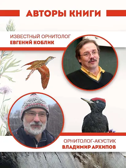 Непевчие птицы. Средняя полоса европейской части России. Определитель с голосами птиц - фото 6