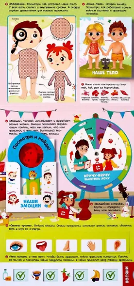 Моё тело. Интерактивная папка с заданиями - фото 3