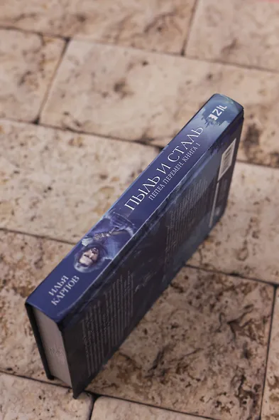 Пепел перемен. Книга 1. Пыль и сталь - фото 11