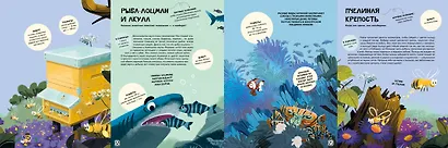 Вместе лучше! Командная работа в мире животных - фото 13