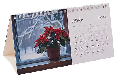 Календарь 2026г 210*120 "Комнатные цветы" настольный, домик - фото 2