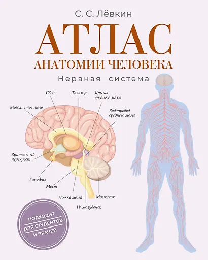 Атлас анатомии человека. Нервная система - фото 1