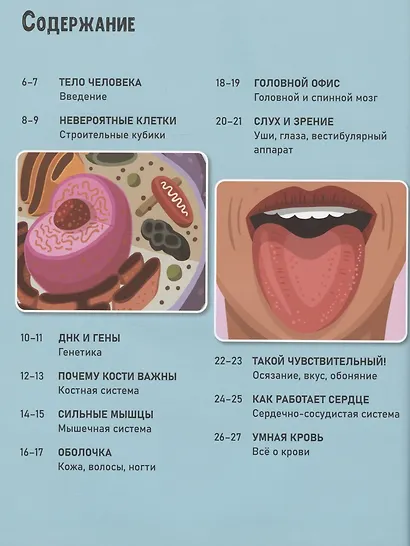 Атлас удивительного человеческого тела - фото 2