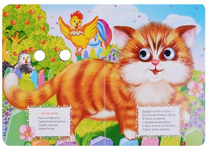 Сорока-белобока - фото 3