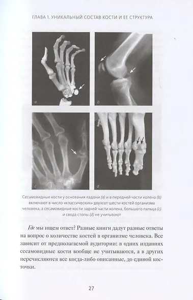 Кости: внутри и снаружи - фото 8