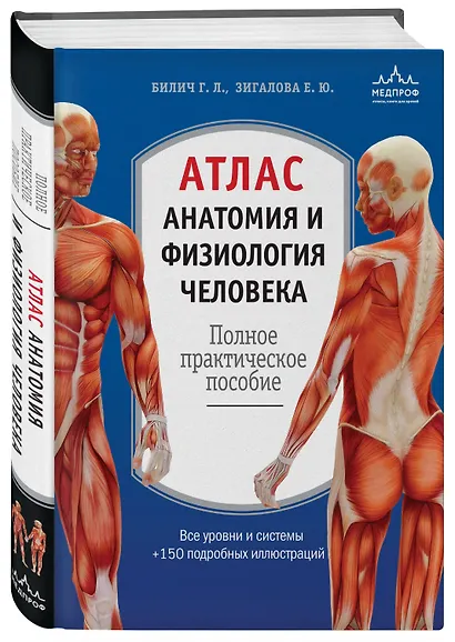 Атлас. Анатомия и физиология человека: полное практическое пособие. 2-е издание, дополненное - фото 3