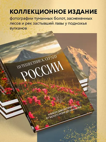 Путешествие к сердцу России. Альбом дикой природы от Белого моря до Камчатки - фото 5