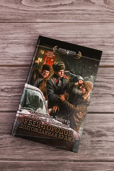 Убей-городок. Долгожданная кража - фото 5