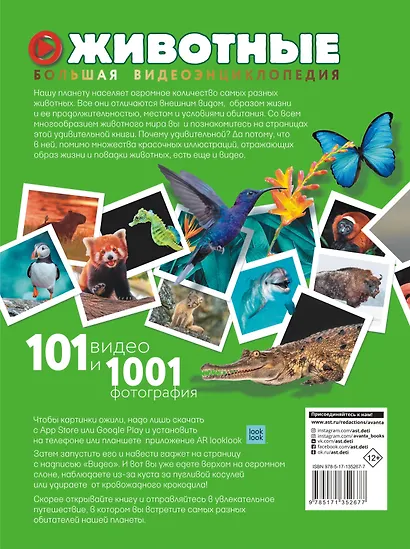Животные. 101 видео и 1001 фотография - фото 2