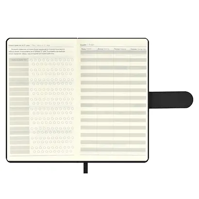 Ежедневник недат. А6+ 120л 110х190 "Бейбискин" черный, иск.кожа, тв.переплёт, тиснение фольгой, магнит.клапан, офсет, ляссе - фото 6