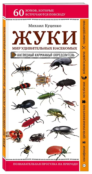Жуки. Мир удивительных насекомых. Наглядный карманный определитель - фото 3