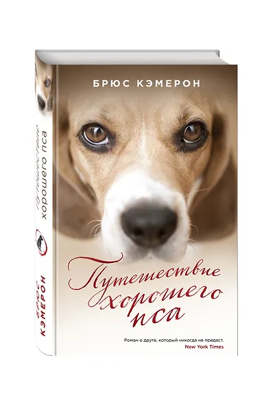 Путешествие хорошего пса - фото 3