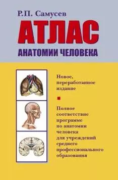 Атлас анатомии человека: Учеб. пособие для студентов учреждений сред. профессион. образования - фото 1