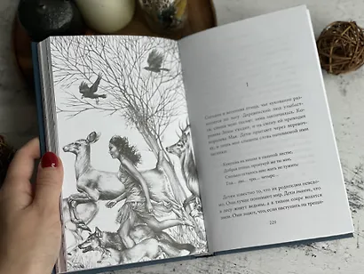 Карман ворон - фото 5