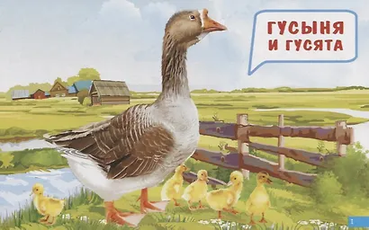 Обучающие карточки "Мамы и детки" - фото 2