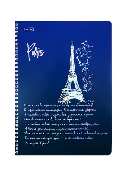 Тетрадь в клетку Hatber, "Блеск столиц", А4, 96 листов, в ассортименте - фото 1