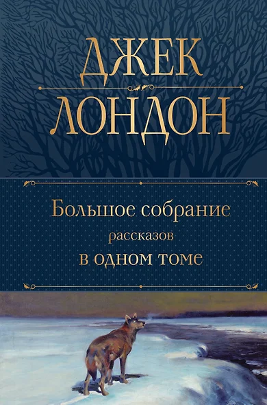 Большое собрание рассказов в одном томе - фото 1