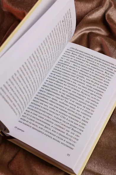 Об ораторском искусстве - фото 7