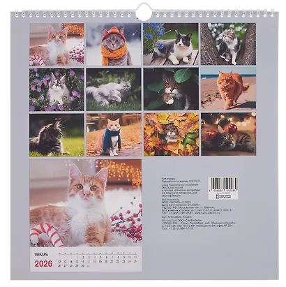 Календарь 2026г 320*320 "Кошки" настенный, на спирали - фото 2