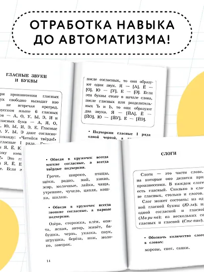Все основные правила русского языка за 15 минут в день - фото 5