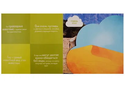 Кто прячется в пустыне? - фото 3