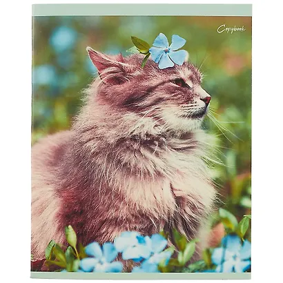 Тетрадь в линейку Unnika, "Кот без забот", 48 листов, в ассортименте - фото 4