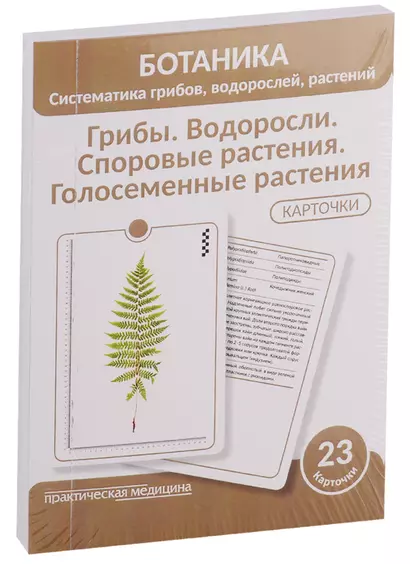 Ботаника. Систематика грибов, водорослей, растений. Грибы. Водоросли. Споровые растения. Голосеменные растения. 23 карточки - фото 1