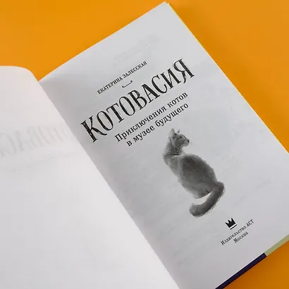 Котовасия. Приключения котов в музее будущего - фото 8