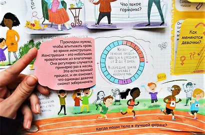 Вопросы и ответы. Я расту. Более 60 секретных створок - фото 2