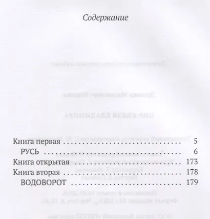 Пир князя Владимира: роман - фото 2