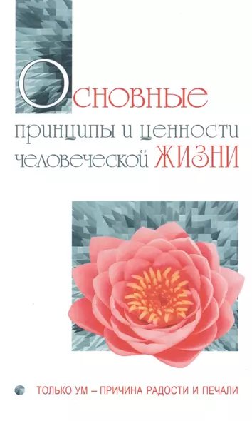 Основные принципы и ценности человеческой жизни. Только ум-причина радости и печали - фото 1