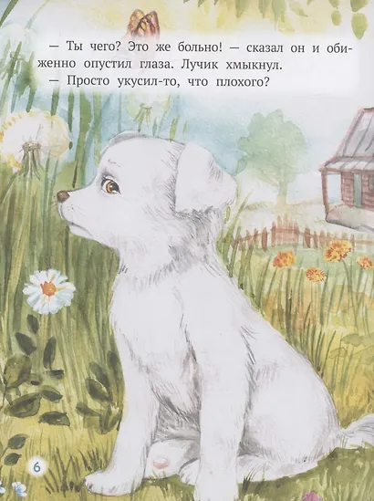 Как Лучик перестал драться - фото 6