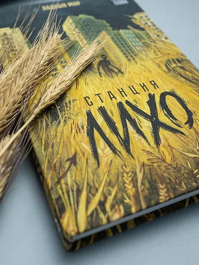 Станция Лихо - фото 5