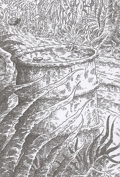 Другая земля - фото 4