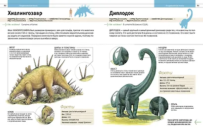 Динозавры и другие древние животные Земли - фото 7