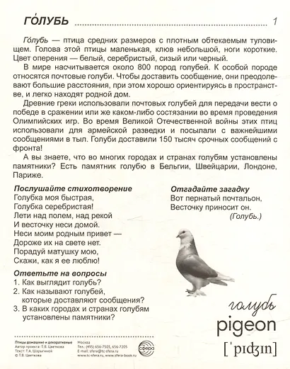 Демонстрационные картинки "Птицы домашние и декоративные". 16 демонстрационных картинок с текстом на обороте - фото 4