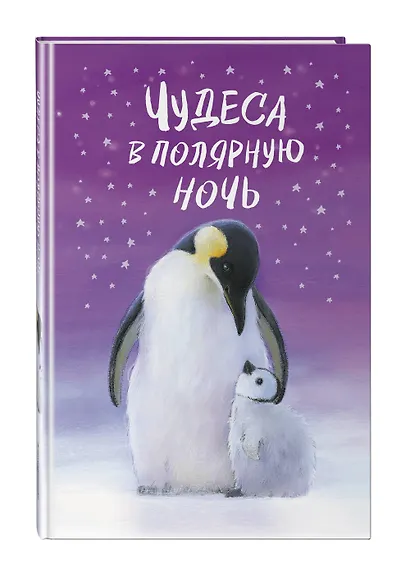 Чудеса в полярную ночь - фото 3