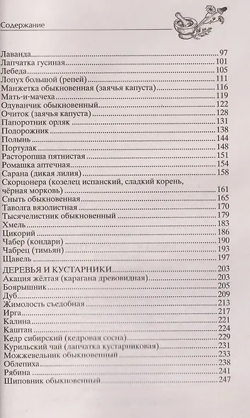 Блюда из дикорастущих растений. Неиссякаемый источник витаминов к вашему столу - фото 4