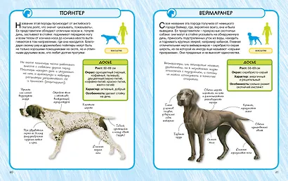 Собаки - фото 3