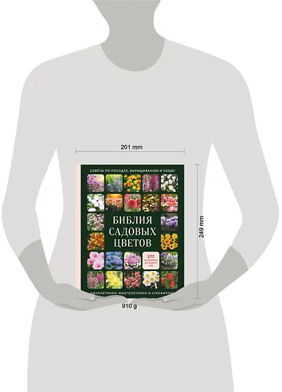 Библия садовых цветов. Однолетники, многолетники и луковичные. Советы по посадке, выращиванию и уходу - фото 4
