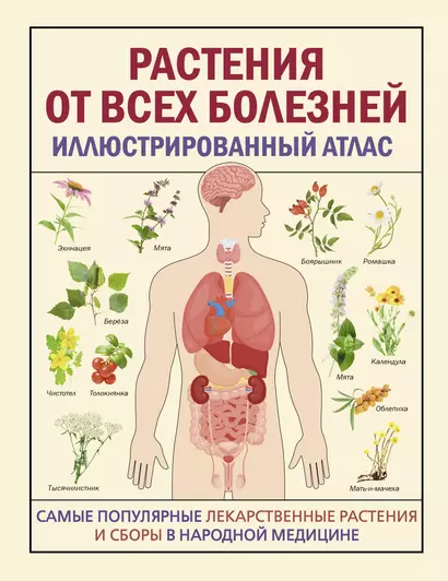 РАСТЕНИЯ ОТ ВСЕХ БОЛЕЗНЕЙ. Иллюстрированный атлас - фото 1