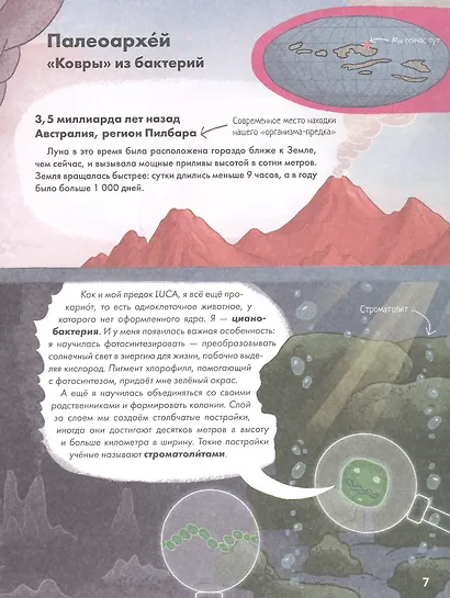 Как человек стал человеком: наглядная история развития жизни на Земле - фото 6