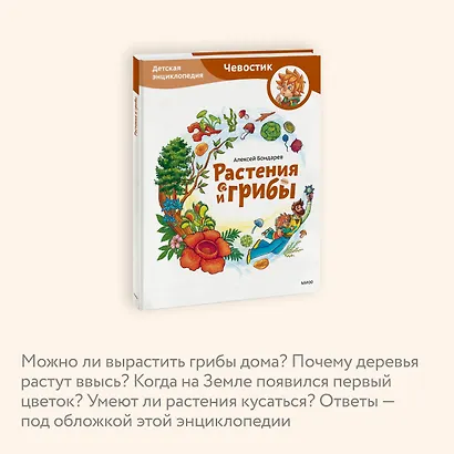 Растения и грибы. Детская энциклопедия (Чевостик) - фото 6