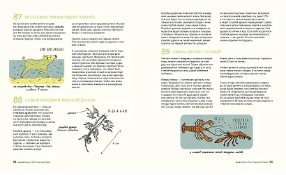 Может ли лошадь решать уравнения? И ещё 320 вопросов о животных - фото 6